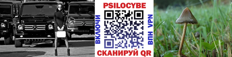МЕГА онион  продажа наркотиков  Кедровый  Галлюциногенные грибы ЛСД 